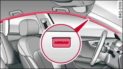 Lugar de montaje de los airbags para el área de la cabeza: encima de las puertas